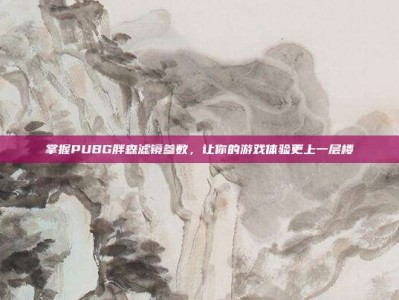 掌握PUBG胖森滤镜参数，让你的游戏体验更上一层楼