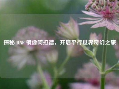 探秘 DNF 镜像阿拉德，开启平行世界奇幻之旅