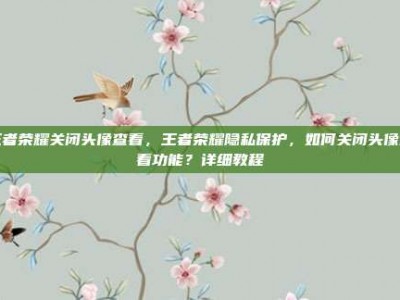 王者荣耀关闭头像查看，王者荣耀隐私保护，如何关闭头像查看功能？详细教程