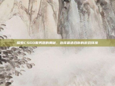 探索CSGO服务器的奥秘，选择最适合你的游戏环境