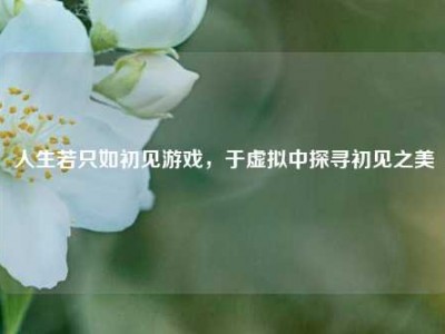 人生若只如初见游戏，于虚拟中探寻初见之美