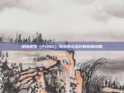 绝地求生（PUBG）无法停止运行的终极攻略