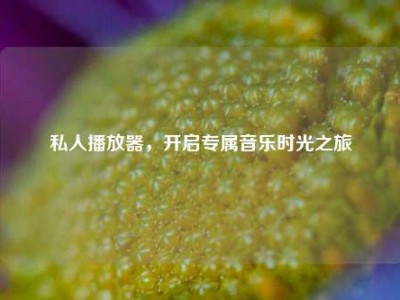 私人播放器，开启专属音乐时光之旅