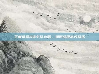 王者荣耀5排车队攻略，如何组建高效队伍