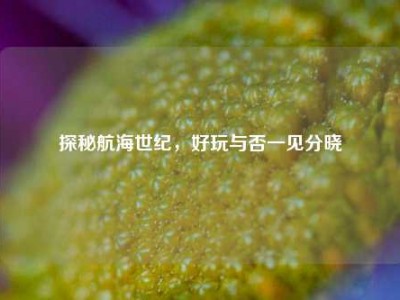 探秘航海世纪，好玩与否一见分晓