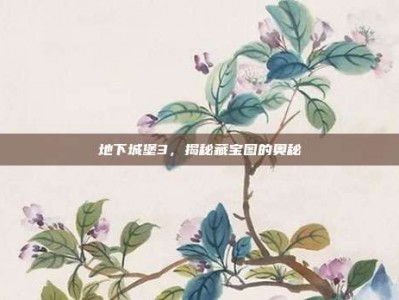 地下城堡3，揭秘藏宝图的奥秘