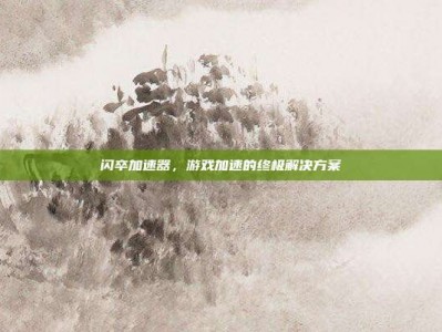闪卒加速器，游戏加速的终极解决方案