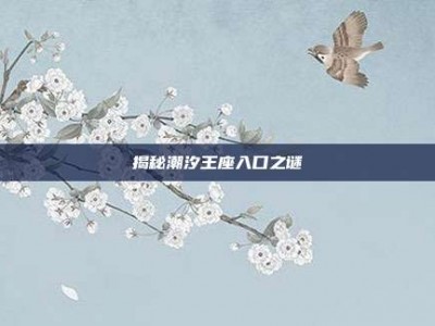 揭秘潮汐王座入口之谜