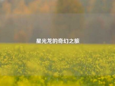 星光龙的奇幻之旅