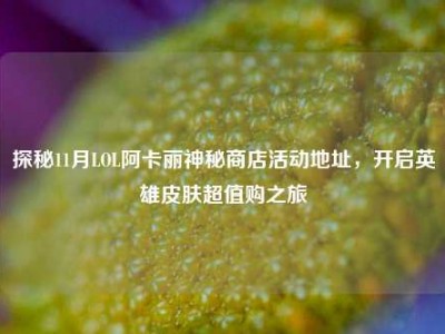 探秘11月LOL阿卡丽神秘商店活动地址，开启英雄皮肤超值购之旅