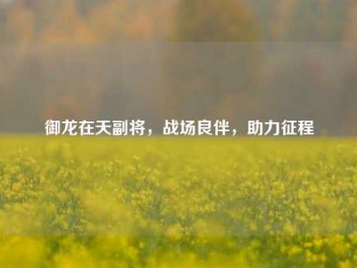 御龙在天副将，战场良伴，助力征程