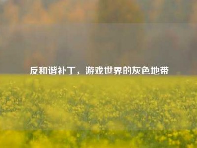 反和谐补丁，游戏世界的灰色地带