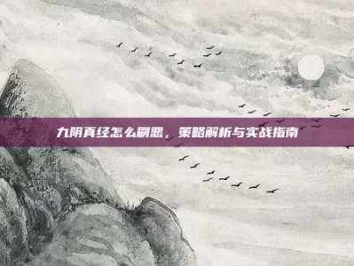九阴真经怎么刷恶，策略解析与实战指南
