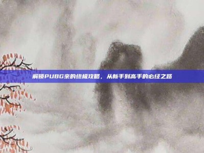 解锁PUBG亲的终极攻略，从新手到高手的必经之路