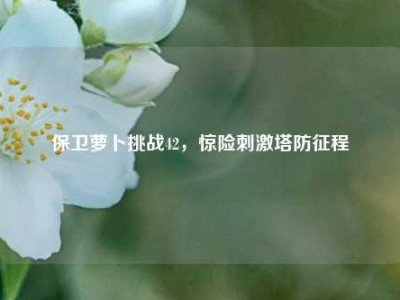 保卫萝卜挑战42，惊险刺激塔防征程