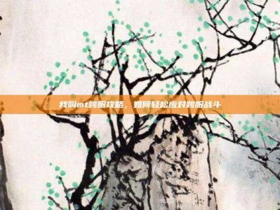 我叫mt跨服攻略，如何轻松应对跨服战斗