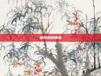 被烧毁的青春