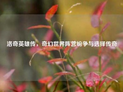 洛奇英雄传，奇幻世界阵营纷争与选择传奇