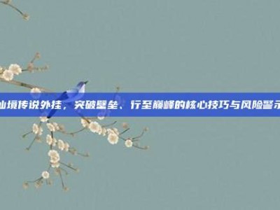仙境传说外挂，突破壁垒、行至巅峰的核心技巧与风险警示