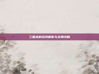 三国杀的名词解析与实用攻略