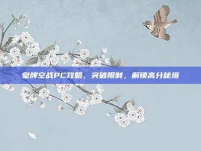 皇牌空战PC攻略，突破限制，解锁高分秘境