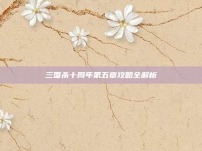 三国杀十周年第五章攻略全解析
