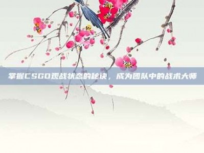 掌握CSGO观战状态的秘诀，成为团队中的战术大师