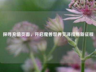 探寻充值页面，开启魔兽世界艾泽拉斯新征程