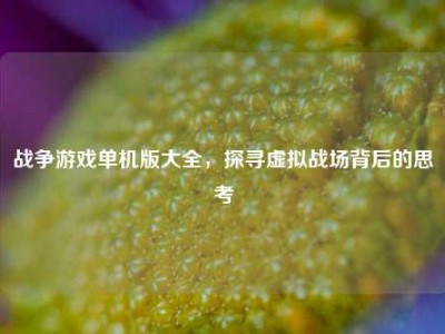 战争游戏单机版大全，探寻虚拟战场背后的思考