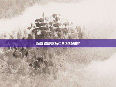 拯救者哪款玩CSGO好些？