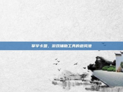 擎宇卡盟，游戏辅助工具的避风港