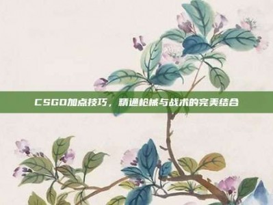 CSGO加点技巧，精通枪械与战术的完美结合