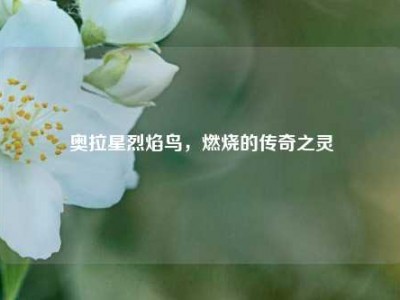 奥拉星烈焰鸟，燃烧的传奇之灵