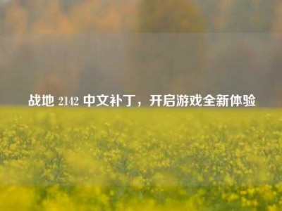 战地 2142 中文补丁，开启游戏全新体验