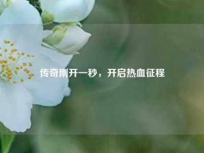 传奇刚开一秒，开启热血征程
