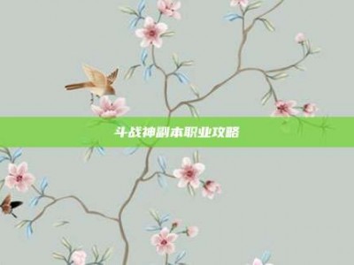 斗战神副本职业攻略
