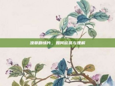 潦草剧情片，如何欣赏与理解