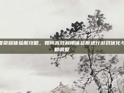 王者荣耀体验服攻略，如何高效利用体验服进行游戏优化与策略调整