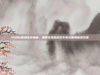 PUBG机场生存指南，如何在绝地求生中高效利用机场资源