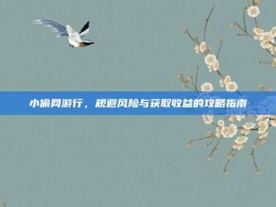 小偷网游行，规避风险与获取收益的攻略指南