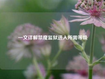 一文详解禁魔监狱进入所需等级