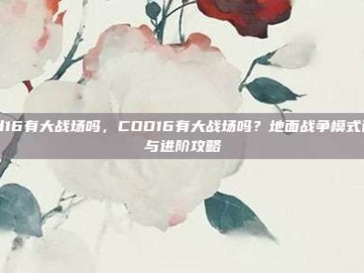 cod16有大战场吗，COD16有大战场吗？地面战争模式详解与进阶攻略