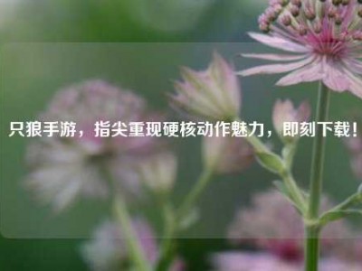 只狼手游，指尖重现硬核动作魅力，即刻下载！