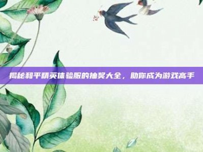 揭秘和平精英体验服的抽奖大全，助你成为游戏高手