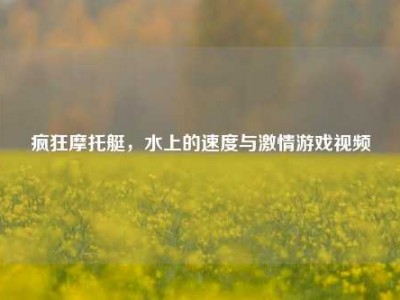 疯狂摩托艇，水上的速度与激情游戏视频