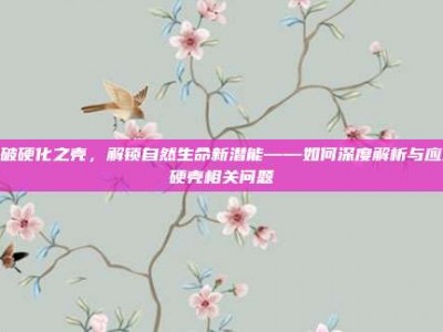 突破硬化之壳，解锁自然生命新潜能——如何深度解析与应对硬壳相关问题
