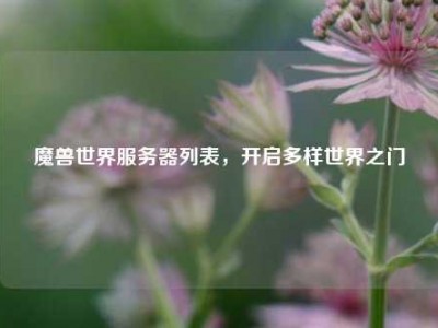 魔兽世界服务器列表，开启多样世界之门