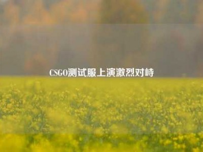 CSGO测试服上演激烈对峙