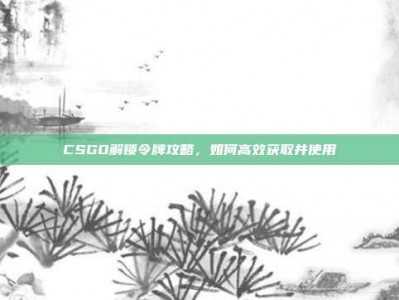CSGO解锁令牌攻略，如何高效获取并使用