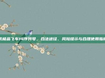 求极品飞车14序列号，合法途径、风险提示与合理使用指南